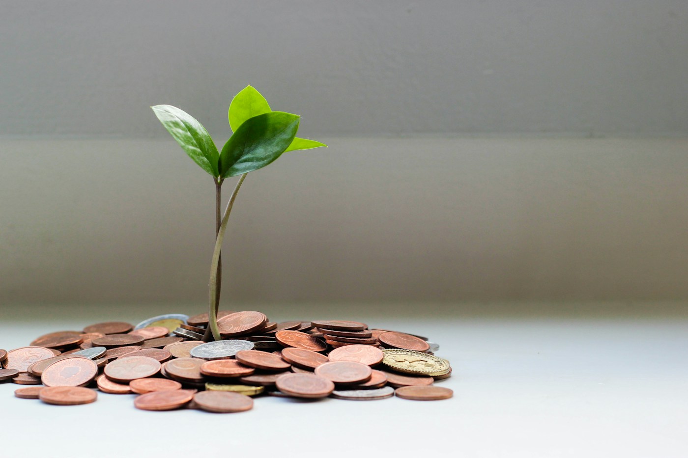 A seedling growing above a collection of coins representing long-term savings